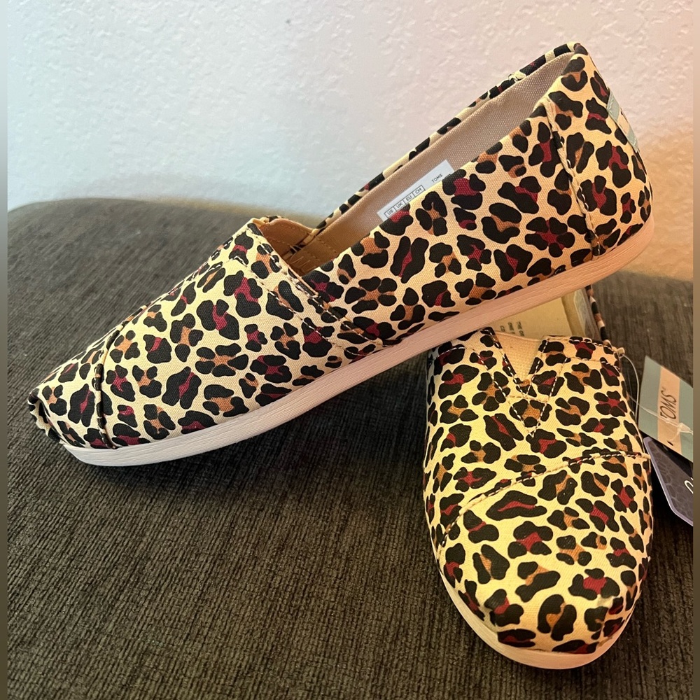 Never worn Tom shoes
